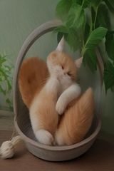 相关推荐影片封面,高清在线视频猜你喜欢精选